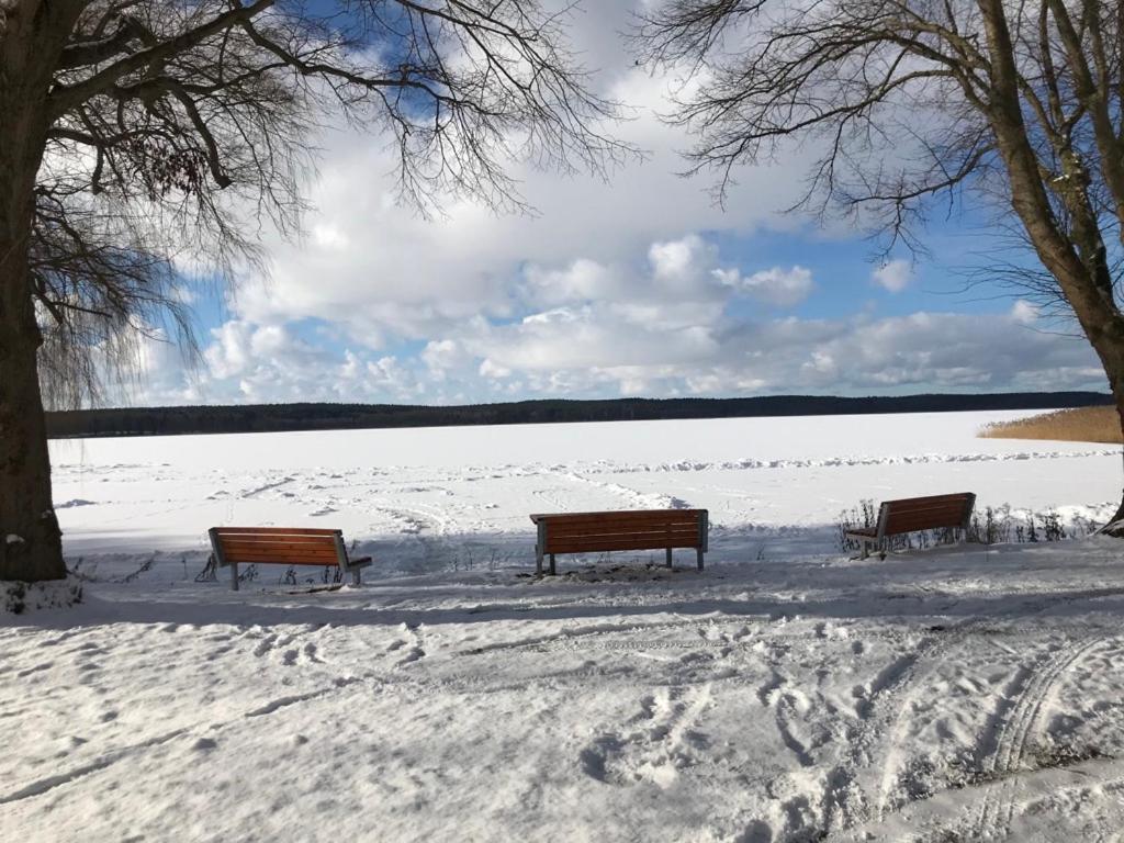 Seeblick Warin Exterior foto